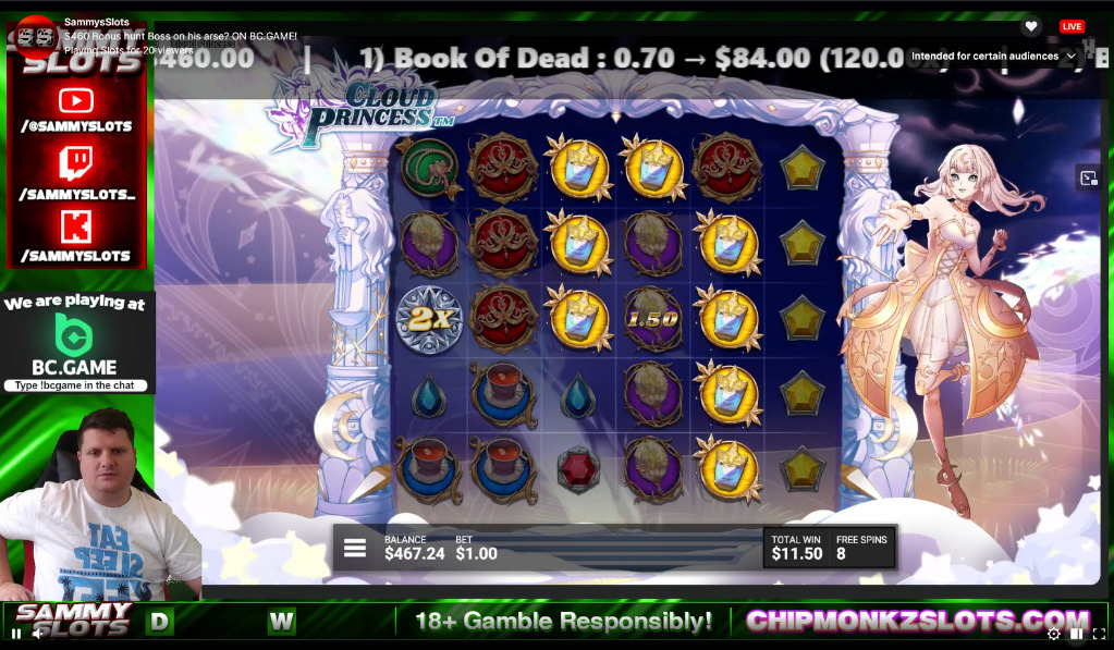 Original SammySlots stream, before the proposed overlay